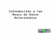 Introducción a las Bases de Datos Relacionales. ¿Base de Datos? B de D es un conjunto de información (o de datos) relacionada que se encuentra agrupada.