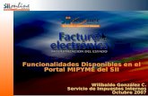 1 Wilibaldo González C. Servicio de Impuestos Internos Octubre 2007 Funcionalidades Disponibles en el Portal MIPYME del SII.