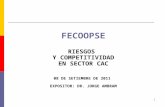 FECOOPSE RIESGOS Y COMPETITIVIDAD EN SECTOR CAC 08 DE SETIEMBRE DE 2011 EXPOSITOR: DR. JORGE AMBRAM 1.