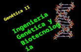 Genética II Ingeniería Genética y Biotecnología. Explorando el ADN 1.Copiando ADN en un laboratorio: la reacción en cadena de la polimerasa (PCR: polymerase.