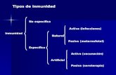 Inmunidad Activa (vacunación) Pasiva (maternofetal) Activa (infecciones) Natural Artificial Específica No específica Pasiva (seroterapia) Tipos de inmunidad.