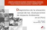 D iagnóstico de la situación actual de las Evaluaciones de Impacto Ambiental en el Perú Ada Alegre Noviembre, 2012 Simposio La Evaluación de Impacto Ambiental: