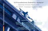 “El Procedimiento Ordinario y Sumario” Diplomado “El Nuevo Proceso Civil” IEJ / ICHDP – Coyhaique, Septiembre 2014 Ricardo Riesco Eyzaguirre Director Instituto.