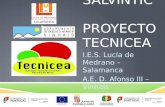 SALVINTIC PROYECTO TECNICEA I.E.S. Lucía de Medrano – Salamanca A.E. D. Afonso III – Vinhais SALAMANCA.