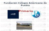 Primaria. Nuestra misión en el Colegio Americano de Puebla es formar ciudadanos del mundo, bilingües, multiculturales y con valores que les permitan actuar.