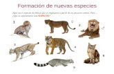Formación de nuevas especies Aquí ves 6 especies de felinos que se originaron a partir de un ancestro común. Pero… ¿Qué es exactamente una ESPECIE? 1 2.