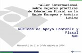 Núcleos de Apoyo Contable y Fiscal NAF Taller internacional sobre mejores prácticas de Educación Fiscal en la Unión Europea y América Latina México.
