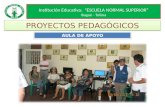 PROYECTOS PEDAGÓGICOS AULA DE APOYO. PROYECTOS PEDAGÓGICOS De acuerdo a la resolución 0107 del 2003, Se crean en Ibagué (3) colegios que en adelante se.