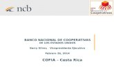 BANCO NACIONAL DE COOPERATIVAS DE LOS ESTADOS UNIDOS Barry Silver, Vicepresidente Ejecutivo Febrero 26, 2014 COFIA – Costa Rica.