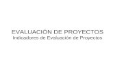 EVALUACIÓN DE PROYECTOS Indicadores de Evaluación de Proyectos.