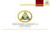 MONTESANO-GONZÁLEZ & ASOCIADOS CONSULTORIA. MONTESANO-GONZÁLEZ & ASOCIADOS CONSULTORIA ¡BIENVENIDOS! MONTESANO - GONZÁLEZ & ASOCIADOS Planes funcionales.