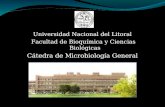 Universidad Nacional del Litoral Facultad de Bioquímica y Ciencias Biológicas Cátedra de Microbiología General.