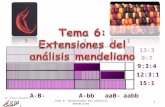 1 Dr. Antonio Barbadilla 9331 13:3 9:7 9:3:4 15:1 A-B-A-bbaaB-aabb 12:3:1 Tema 6: Extensiones del análisis mendeliano 1.