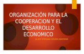 ORGANIZACIÓN PARA LA COOPERACION Y EL DESARROLLO ECONOMICO JULIETH STEPHANIE CERVERA SINISTERRA.