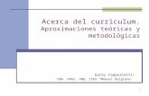 1 Acerca del curriculum. Aproximaciones teóricas y metodológicas Gachy Cappelletti UBA. UNGS. UNQ. ISFD “Manuel Belgrano”