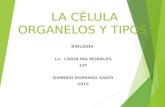 LA CÉLULA ORGANELOS Y TIPOS BIOLOGÎA Lic. CAROLINA MORALES 10º GIMNSIO DOMINGO SAVIO 2015.