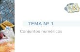 TEMA Nº 1 Conjuntos numéricos. Aprendizajes esperados: Utilizar y clasificar los distintos conjuntos numéricos en sus diversas formas de expresión, tanto.