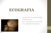 ECOGRAFIA Servicio de Toco ginecología. Clínica del sol. Dra.: Ceresole Ma. Antonella. Dra.: Peppino Evangelina.