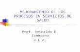 MEJORAMIENTO DE LOS PROCESOS EN SERVICIOS DE SALUD Prof. Reinaldo E. Zambrano U.L.A.