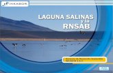 La Laguna Salinas ocupa un área de 2,225 hectáreas (1.7%) ubicada dentro de la sub cuenca Salinas que tiene una extensión de 69,225 hectáreas (18.8%),