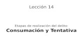 Lección 14 Etapas de realización del delito: Consumación y Tentativa.