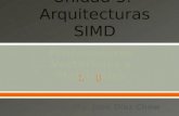 Enumerar los diferentes tipos de Arquitecturas SIMD, naturaleza de la solución y nivel de paralelismo de cada una de ellas.  Describir el principio.
