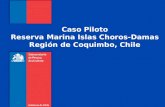 Caso Piloto Reserva Marina Islas Choros-Damas Región de Coquimbo, Chile.