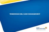 TENDENCIAS DEL CASH MANAGEMENT. Gestion de la Tesorería. La administración del efectivo (Cash Management). La gestión de fondos. (Inversión o financiamiento)