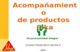 CESAR FRANCISCO NATES P. 2007 Acompañamiento de productos Sika Responsabilidad Integral.