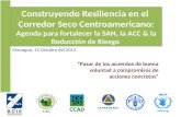 Construyendo Resiliencia en el Corredor Seco Centroamericano: Agenda para fortalecer la SAN, la ACC & la Reducción de Riesgo Managua, 15 Octubre del 2013.