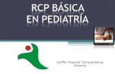 UCIPN- Hospital Torrecárdenas Almería. CONCEPTO DE PARADA CARDIORESPIRATORIA La interrupción brusca, generalmente inesperada y potencialmente reversible.