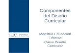 Componentes del Diseño Curricular Maestría Educación Técnica Curso Diseño Curricular.
