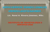 ANTICUERPOS MONOCLONALES HEMOCLASIFICADORES Lic. René A. Rivero Jiménez, MSc. INSTITUTO DE HEMATOLOGIA E INMUNOLOGIA.