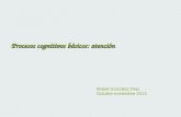 Procesos cognitivos básicos: atención Mabel González Díaz Octubre-noviembre 2013.