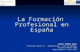 La Formación Profesional en España JAVIER FERRER DUFOL Consejero grupo II (Empresarios ) CES de España Vicepresidente CEOE Tegucigalpa 8 Julio 2013.