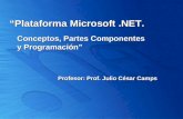 “Plataforma Microsoft.NET. Conceptos, Partes Componentes y Programación” Profesor: Prof. Julio César Camps.