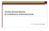 Visita Domiciliaria, la evidencia internacional Ps. Cecilia Moraga.