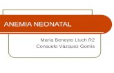 ANEMIA NEONATAL María Beneyto Lluch R2 Consuelo Vázquez Gomis.