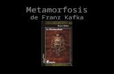 Metamorfosis de Franz Kafka. Escrito en 1912 y publicado en 1916, este relato es considerado una de las obras maestras del Siglo XX por sus innegables.
