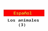 Español Los animales (3) ¿Cómo se pronuncia? ja jo yo llo ño un pájaro un conejo un cobayo un caballo pequeño.