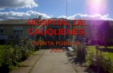 HOSPITAL DE CAUQUENES CUENTA PÚBLICA 2003. EQUIPO DIRECTIVO.