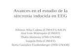 Avances en el estudio de la sincronía inducida en EEG Alfonso Alba Cadena (CIMAT/UASLP) José Luis Marroquín (CIMAT) Thalía Harmony (INB-UNAM) Joaquín Peña.