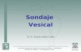 Sondaje Vesical Dr. D. Vicente Albert Cuñat. Colocación aséptica de un catéter en la vejiga a través de la uretra (cateterismo vesical transuretral)