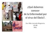 Enfermedad por el Virus del Ebola (EVE). El virus del Ebola causa en el ser humano la enfermedad homónima (antes conocida como fiebre.