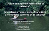 Néstor Windevoxhel nwindevoxhel@gmail.com “Hacia una Agenda Forestal en El Salvador” Importancia y papel de los Manglares y humedales costeros en El Salvador.
