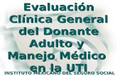 Evaluación Clínica General del Donante Adulto y Manejo Médico en la UTI INSTITUTO MEXICANO DEL SEGURO SOCIAL.
