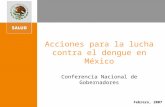 Febrero, 2007 Acciones para la lucha contra el dengue en México Conferencia Nacional de Gobernadores.
