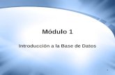 1 Módulo 1 Introducción a la Base de Datos. 2 Objetivos Generales Introducir conceptos básicos de base de datos Identificar los componentes y demás herramientas.