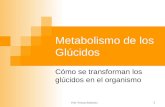 Prof. Viviana Sabbatino 1 Metabolismo de los Glúcidos Cómo se transforman los glúcidos en el organismo.