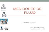 MEDIDORES DE FLUJO Septiembre 2014 Prof. Sharon Escalante Facilidades de Superficie.